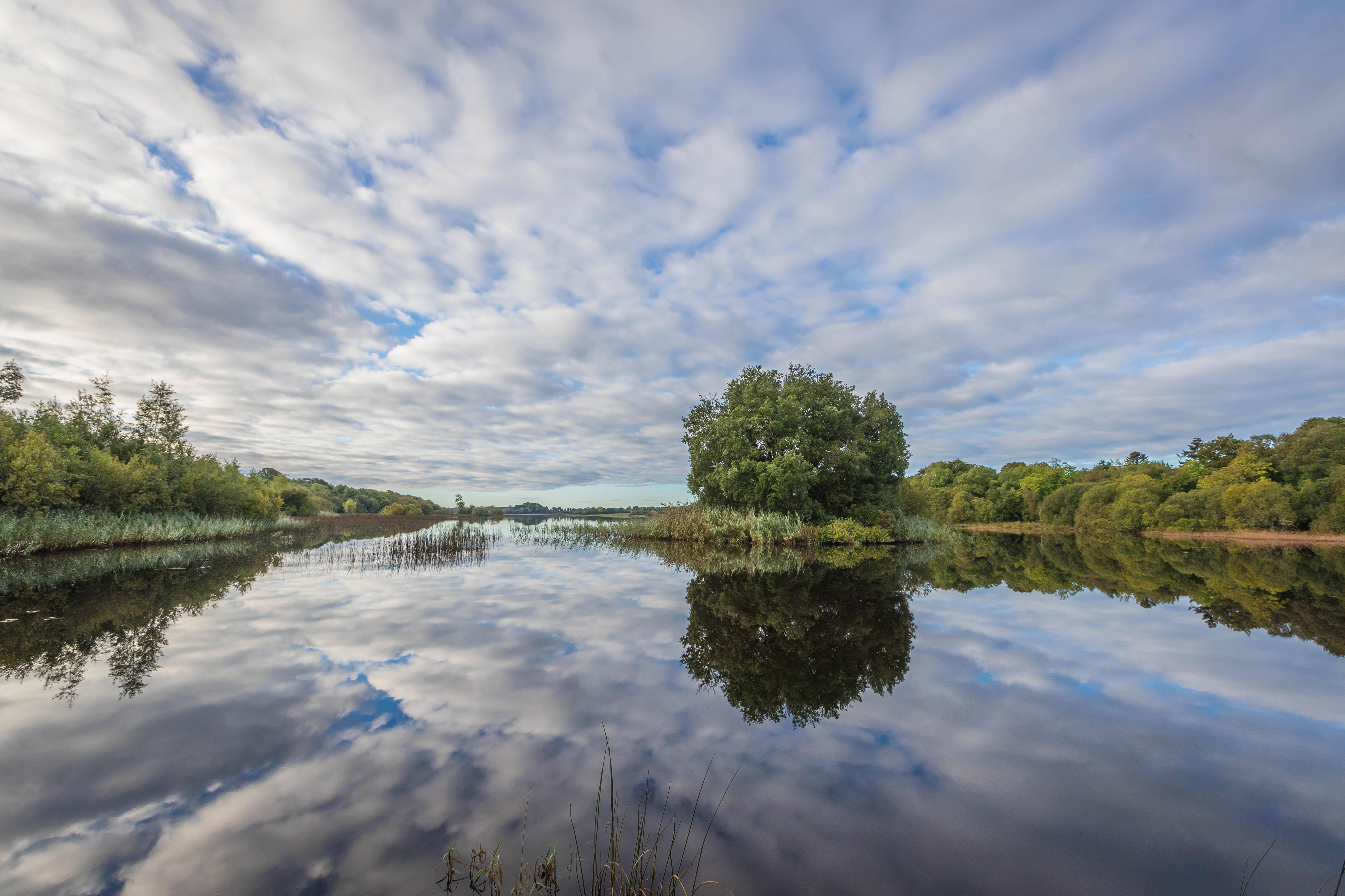 Lough Rynn Castle 호텔 모힐 외부 사진